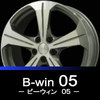 B-win 05